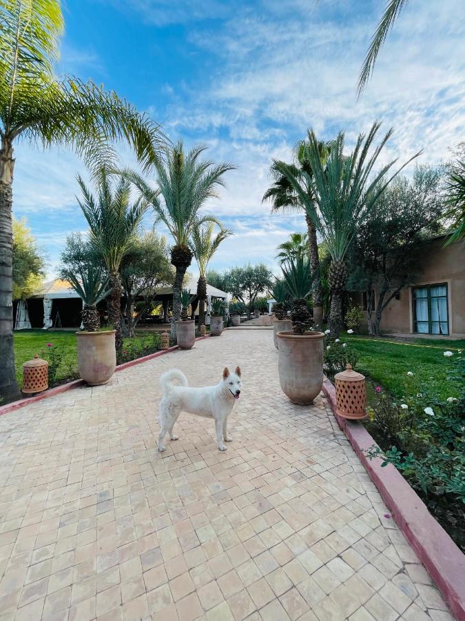 Le Mas De L'Ourika Hotel Marrakesh Exterior photo